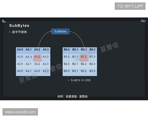 训练视频暗示努诺杯赛冒险策略